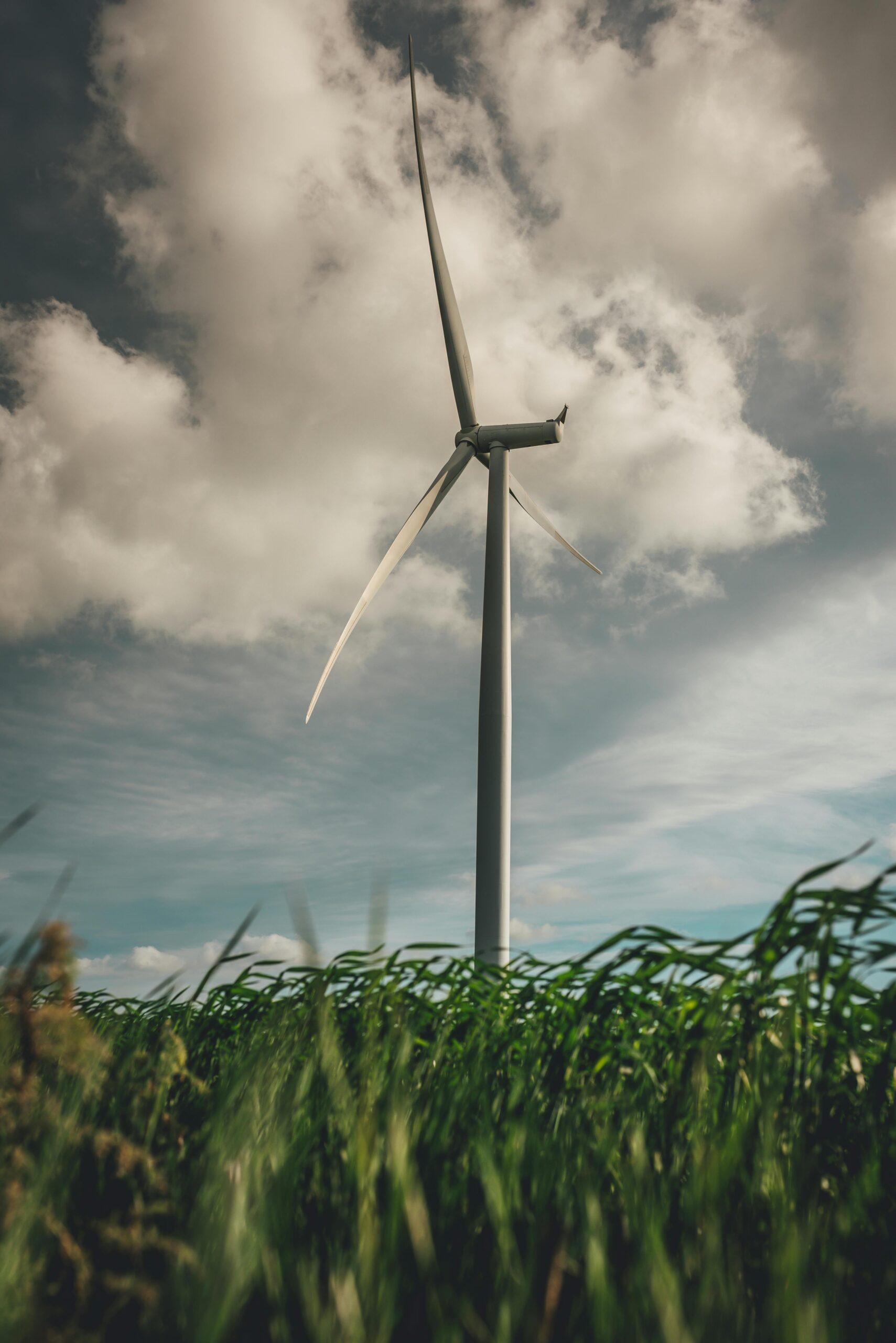 wind energy, wind farm, wind turbines, windmills, countryside, renewable energy, clean energy, wind energy, wind energy, wind energy, wind farm, wind farm, wind farm, wind turbines, wind turbines, renewable energy, renewable energy, renewable energy, renewable energy, renewable energy, clean energy, clean energy, clean energy